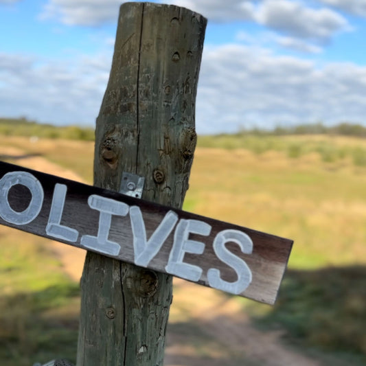hand painted olive sign at Glen Donald Estate