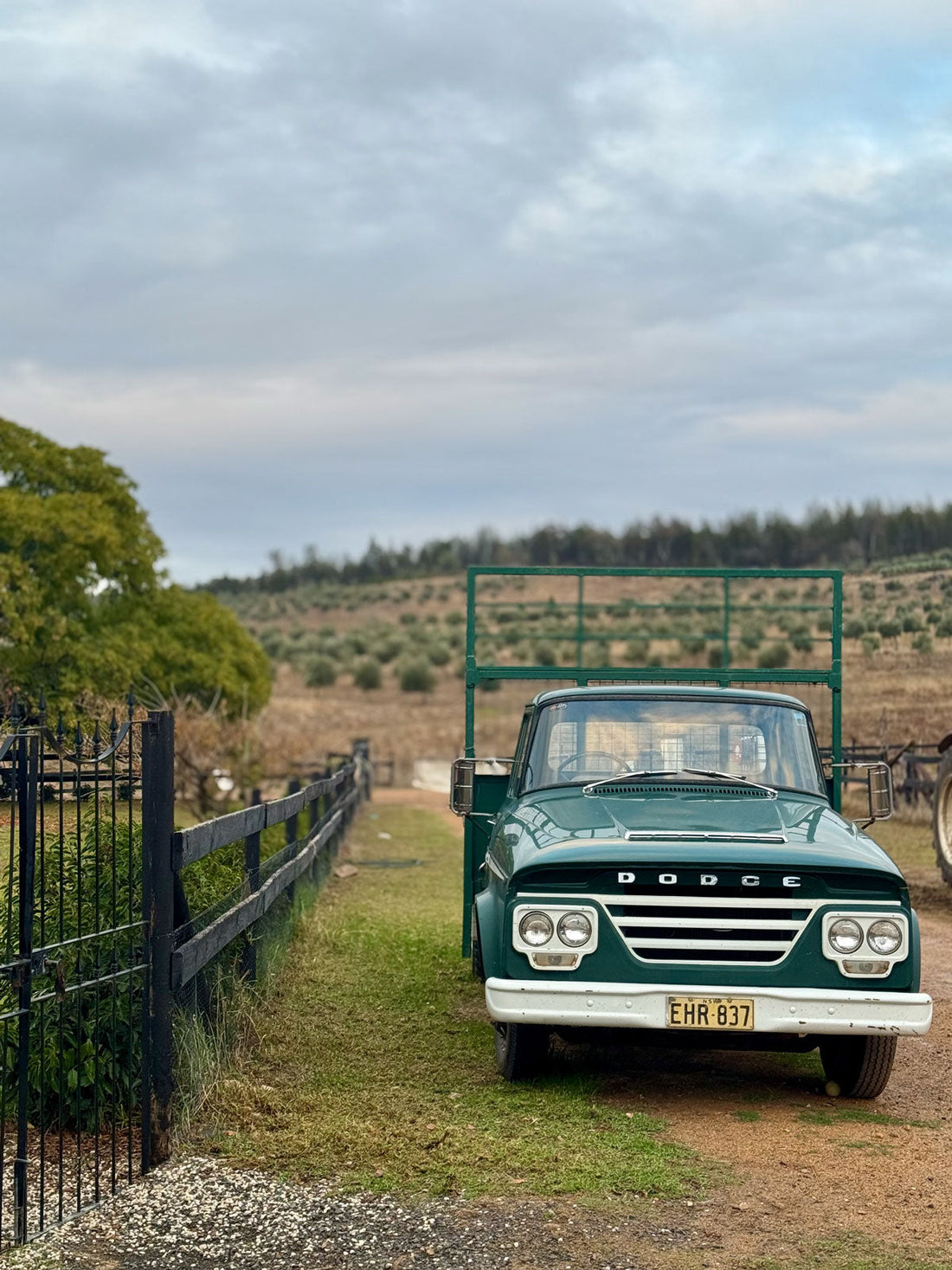 Things to do in the Cowra / Weddin Region of New South Wales