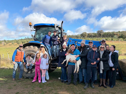 Farm Experiences in NSW